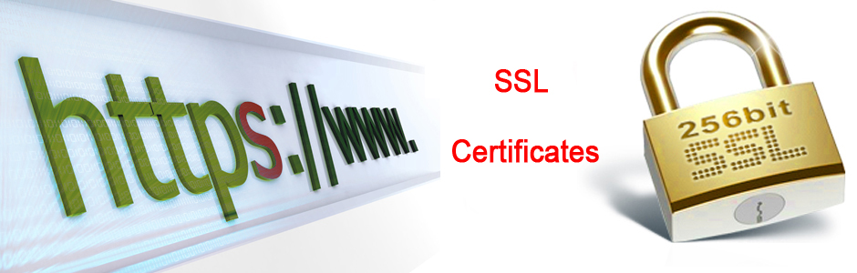 SSL Certificate in eCommerce Website